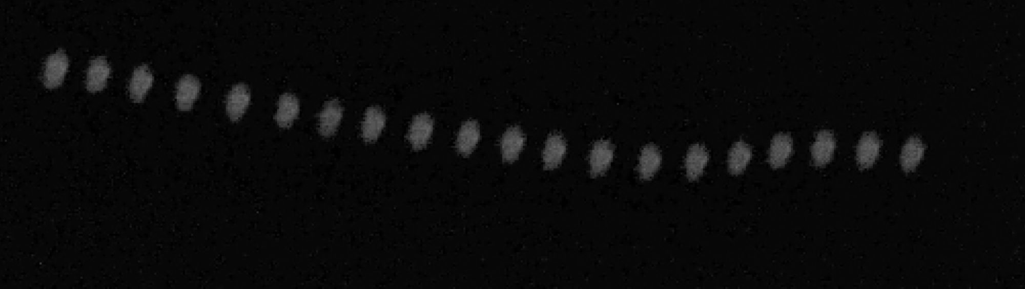 In-situ RSO image of Starfish Space's OTTER PUP (NORAD ID: 56933) taken from Droid.001 using the NEI Optimization software (Linkedin Post), with multiple concurrent flybys